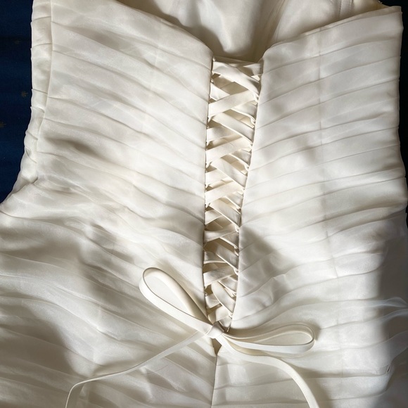 David’s Bridal Wedding Dress - Picture 3 of 6